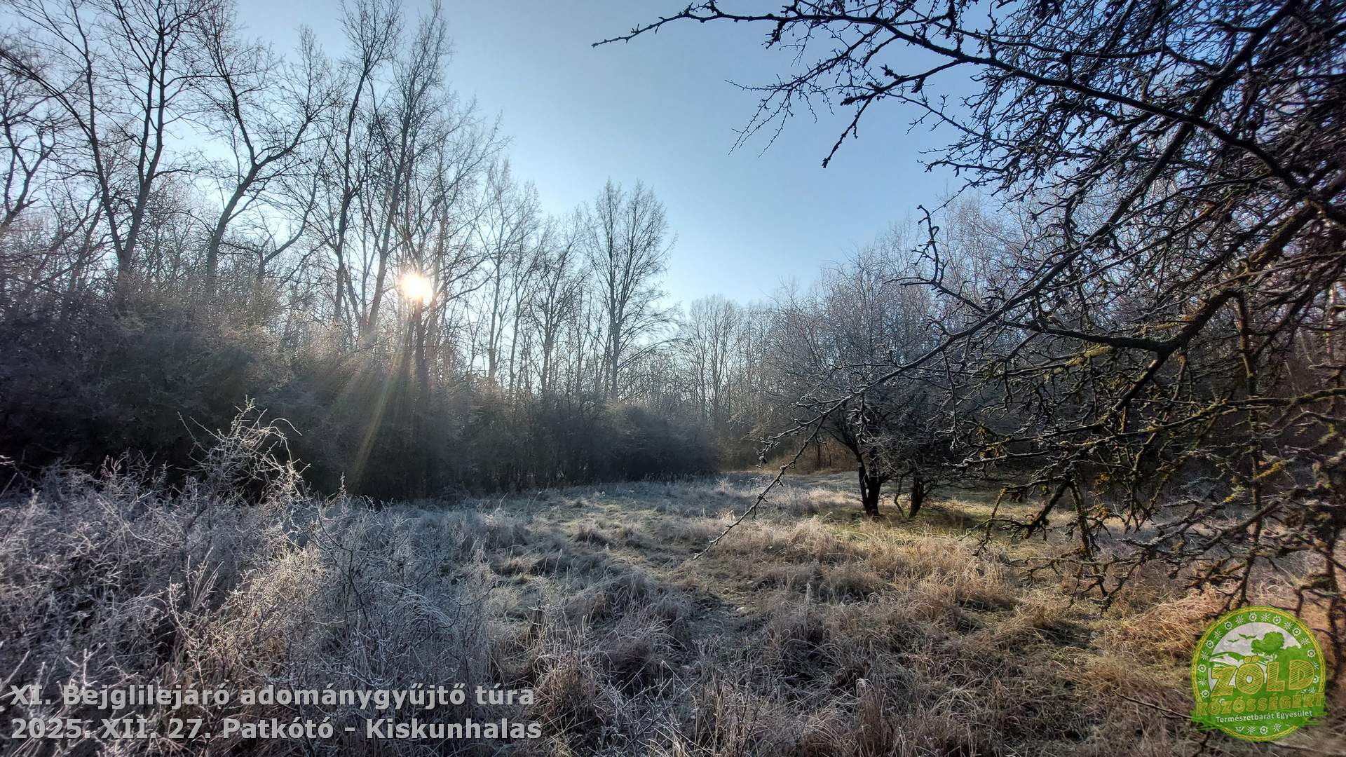 -bejglilejaro-tura-pirto-kiskunhalas-